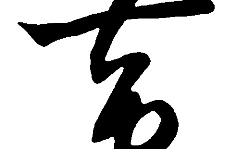 东风菜的功效与禁忌-东风菜的功效与禁忌、东风菜怎么使用 -东风菜吃法网